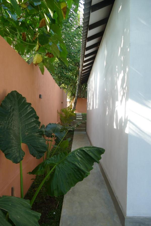 Barefoot Backpackers Hostel Dikwella Exterior foto